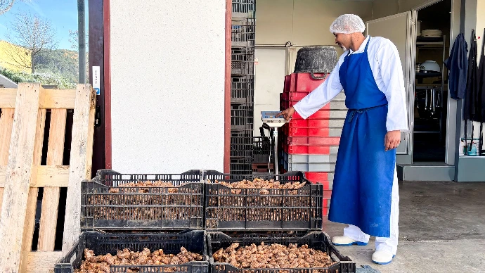 acheminement de préparations alimentaires avant conditionnement
