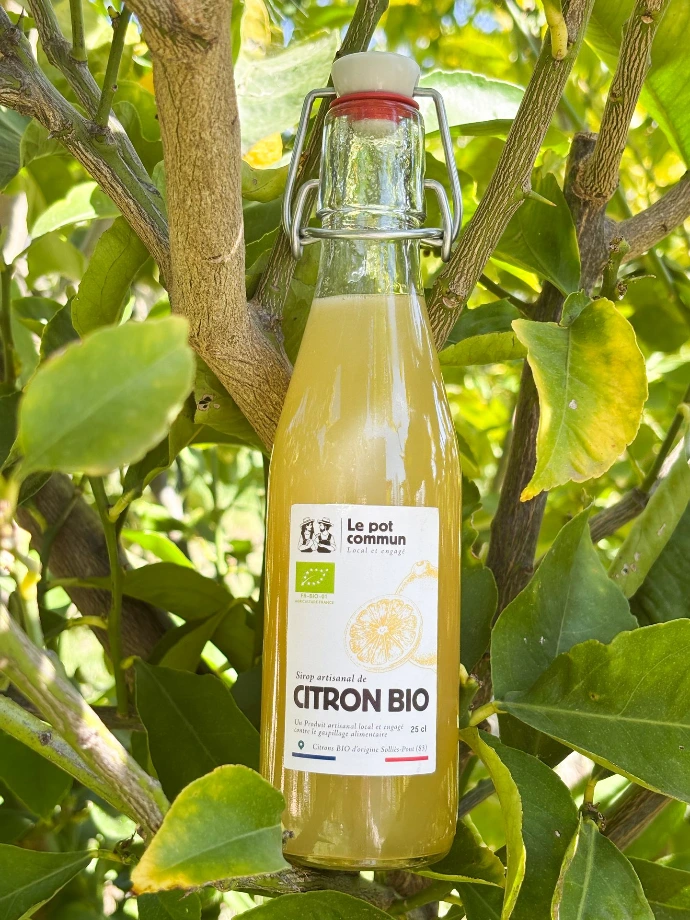 Jus de citron bio embouteillé par la conserverie en Provence
